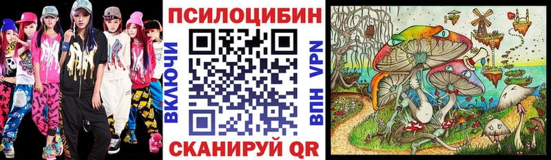 купить   Усолье  Псилоцибиновые грибы Magic Shrooms 